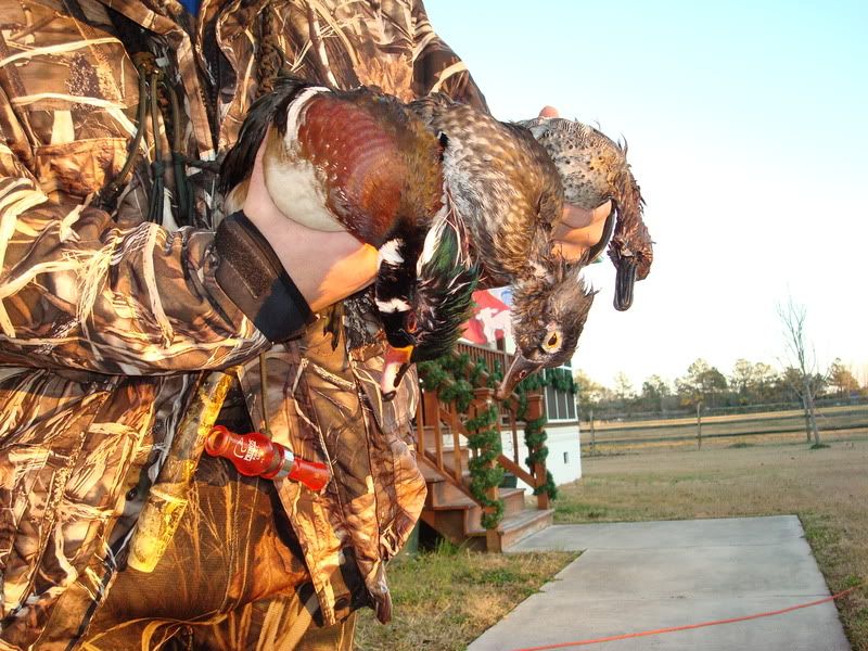 I was successful over christmas Duck Hunting Forum